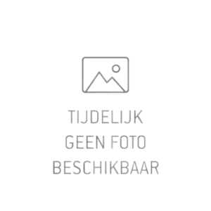 veegborstel snelwissel